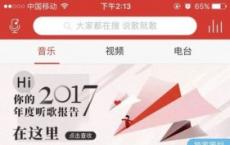 游戏前沿动态：网易云2017听歌报告地址 2017网易云音乐陪你温暖同行怎么看