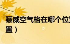 骊威空气格在哪个位置（骊威空气格在哪个位置）