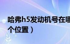 哈弗h5发动机号在哪（哈弗h5发动机号在哪个位置）