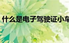 什么是电子驾驶证小车（什么是电子驾驶证）