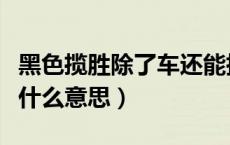 黑色揽胜除了车还能指什么（大远哥黑色揽胜什么意思）