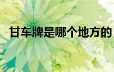 甘车牌是哪个地方的（甘车牌子是哪里的）