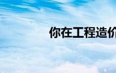 你在工程造价专业学什么？