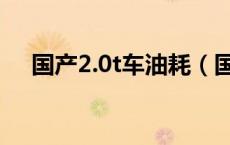 国产2.0t车油耗（国产2.0t的车有哪些）