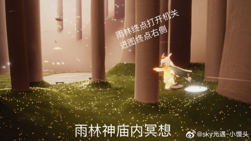 雨林的神庙在哪？光遇2月23日季节任务一览