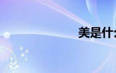 美是什么意思？