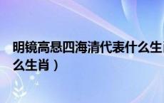 明镜高悬四海清代表什么生肖动物（明镜高悬四海清代表什么生肖）