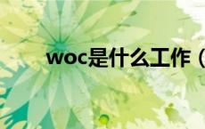 woc是什么工作（woc是什么意思）