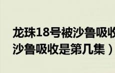 龙珠18号被沙鲁吸收是哪一集（龙珠18号被沙鲁吸收是第几集）