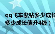 qq飞车紫钻多少成长值到6级?（qq飞车紫钻多少成长值升4级）