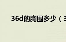 36d的胸围多少（36d胸围是多少cm）