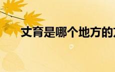 丈育是哪个地方的方言（丈育是什么）