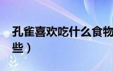 孔雀喜欢吃什么食物?（孔雀爱吃的食物有哪些）