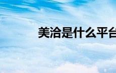 美洽是什么平台（美洽是什么）