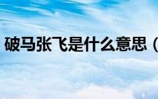 破马张飞是什么意思（破马张飞是什么意思）