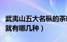 武夷山五大名枞的茶叶是（武夷岩茶四大名枞就有哪几种）