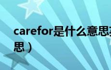 carefor是什么意思英语（carefor是什么意思）