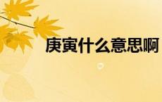庚寅什么意思啊（庚寅什么意思）