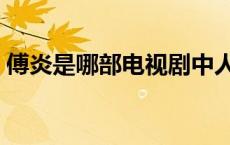 傅炎是哪部电视剧中人物（傅炎是哪部小说）