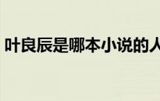 叶良辰是哪本小说的人物（叶良辰是什么梗）