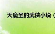 天魔圣的武侠小说（天魔圣有哪些作品）