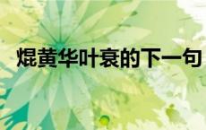 焜黄华叶衰的下一句（焜黄华叶衰的意思）
