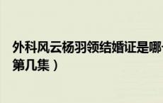 外科风云杨羽领结婚证是哪一集（外科风云带杨羽回别墅是第几集）