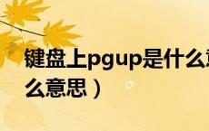 键盘上pgup是什么意思（键盘上pgup是什么意思）