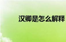 汉卿是怎么解释（汉卿是啥意思）