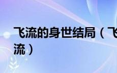 飞流的身世结局（飞流的身世 身世是什么飞流）