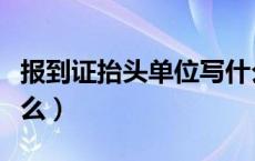 报到证抬头单位写什么（报到证抬头单位是什么）