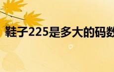 鞋子225是多大的码数（鞋子225是多少码）