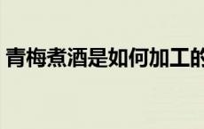 青梅煮酒是如何加工的（青梅煮酒是什么酒）