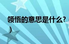 领悟的意思是什么?（真正的领悟是什么意思）