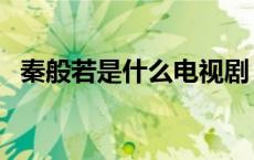 秦般若是什么电视剧（秦般若是什么身份）