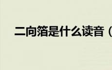 二向箔是什么读音（二向箔是什么意思）