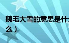 鹅毛大雪的意思是什么（鹅毛大雪的意思是什么）
