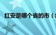 红安是哪个省的市（红安是哪个省的城市）