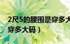 2尺5的腰围是穿多大码裙子（2尺5的腰围是穿多大码）
