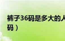 裤子36码是多大的人穿的（裤子36码是多少码）