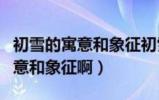 初雪的寓意和象征初雪的特殊意义（初雪的寓意和象征啊）