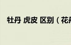 牡丹 虎皮 区别（花丹犬虎皮丹什么区别）