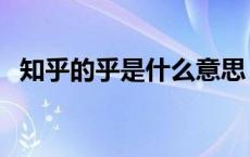 知乎的乎是什么意思（知乎的是什么意思）