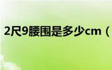 2尺9腰围是多少cm（2尺9腰围是多少厘米）