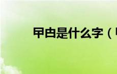 曱甴是什么字（曱甴是什么意思）