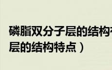 磷脂双分子层的结构有什么作用（磷脂双分子层的结构特点）