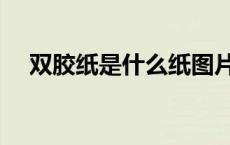 双胶纸是什么纸图片（双胶纸是什么纸）
