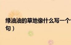 绿油油的草地像什么写一个句子（绿油油的草地像什么比喻句）
