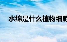 水绵是什么植物细胞（水绵是什么生物）