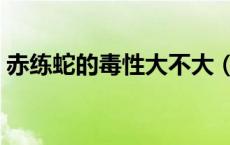赤练蛇的毒性大不大（赤练蛇的毒性有多大）